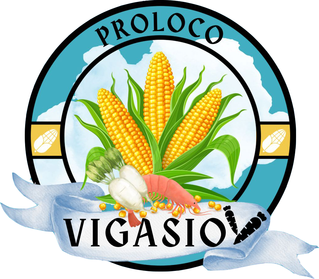 LogoProlocoVigasio2025APS